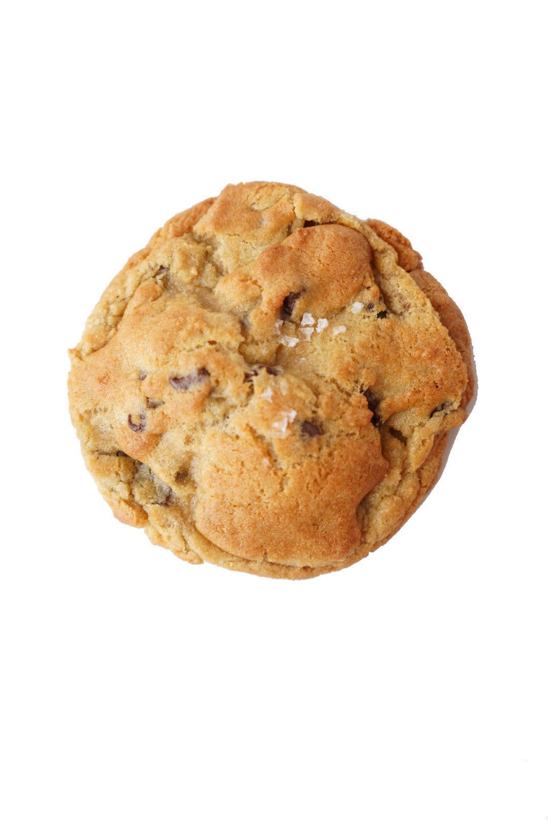 Madison - Chocolate Chip with Sea Salt